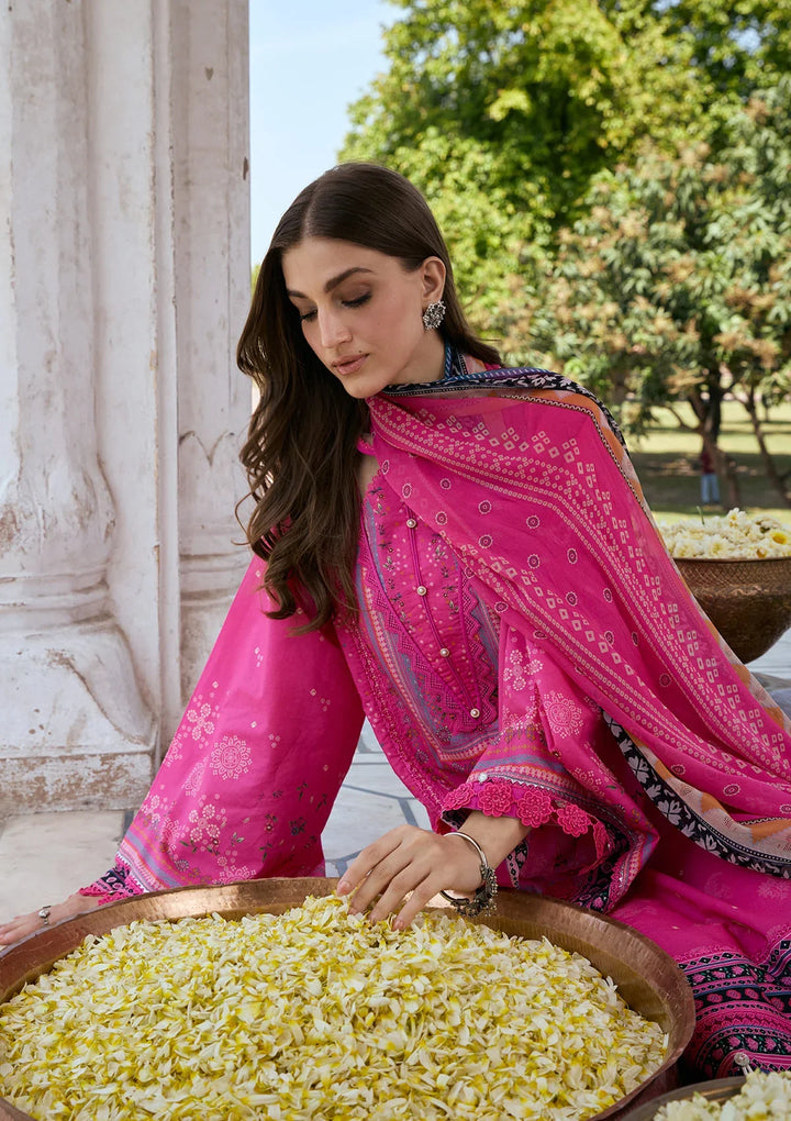 PRINTS CHIFFON COLLECTION &