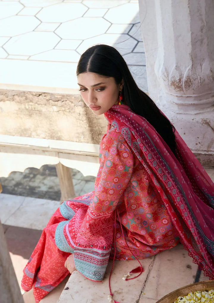 PRINTS CHIFFON COLLECTION &