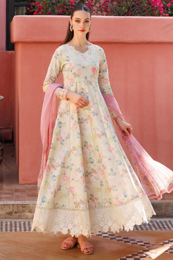 Aurea Summer Lawn