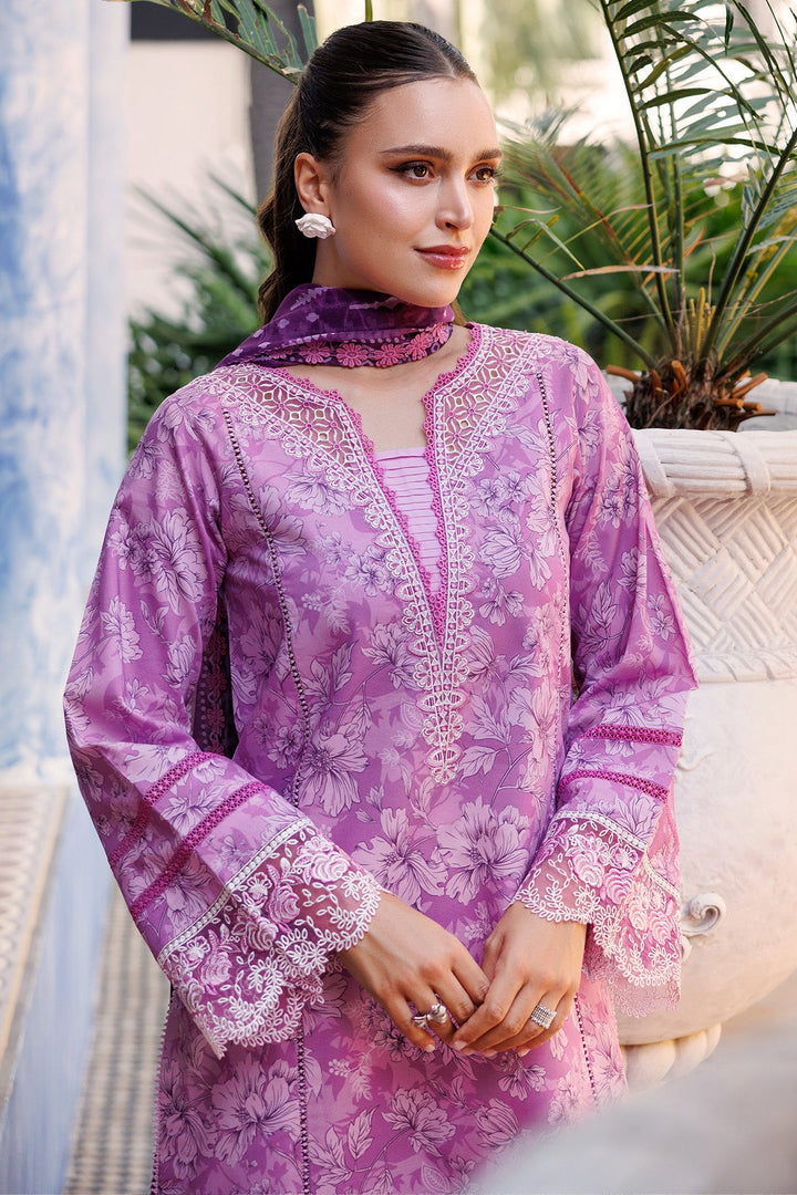 Aurea Summer Lawn