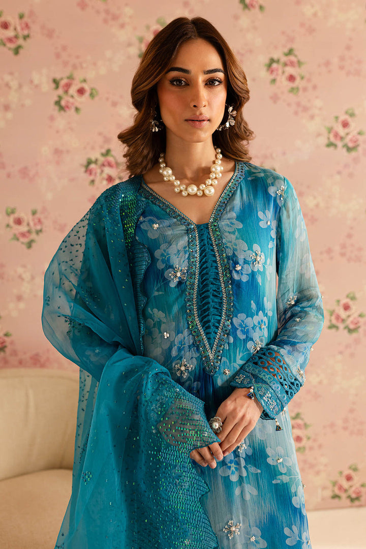 EMBROIDERED CHIFFON COLLECTION