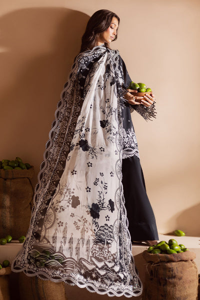 Koyal Lawn Collections