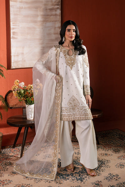 Raw Silk Embroidered Dress Pret
