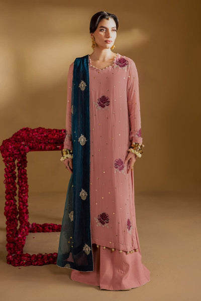 Mukeshkari Embroidered Chiffon