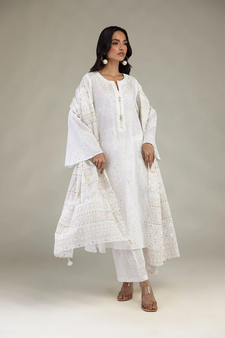 Printed | Lawn Fabrics 3 Piece