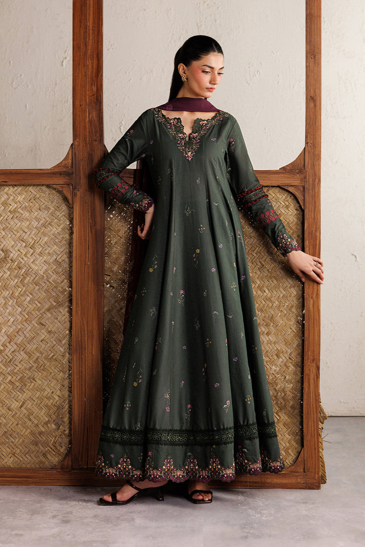 Festive Embroidered Lawn
