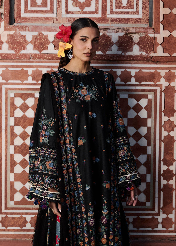 Zan Lawn Collections