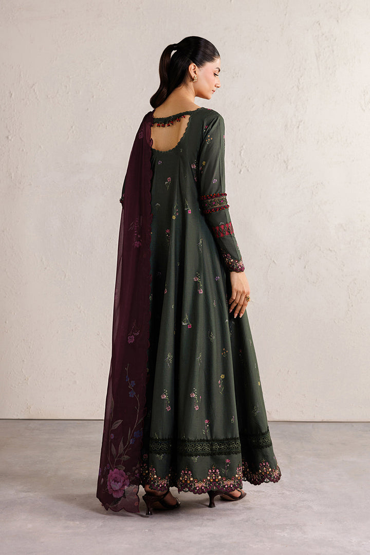 Festive Embroidered Lawn