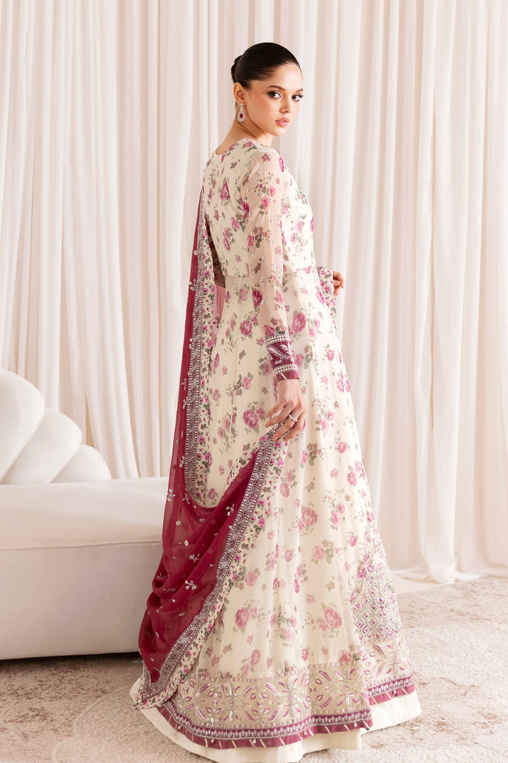 Luxury Chiffon Collection