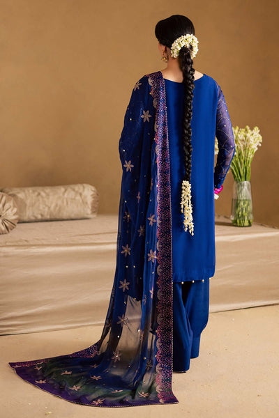 Mukeshkari Embroidered Chiffon