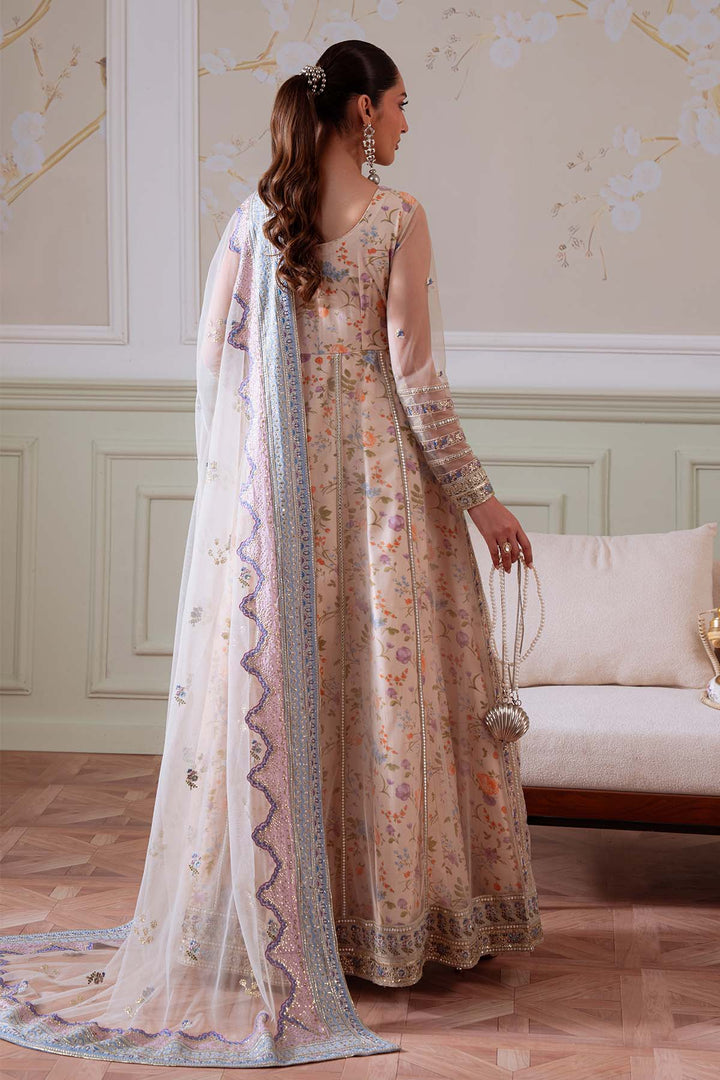 Elanora Luxury Chiffon