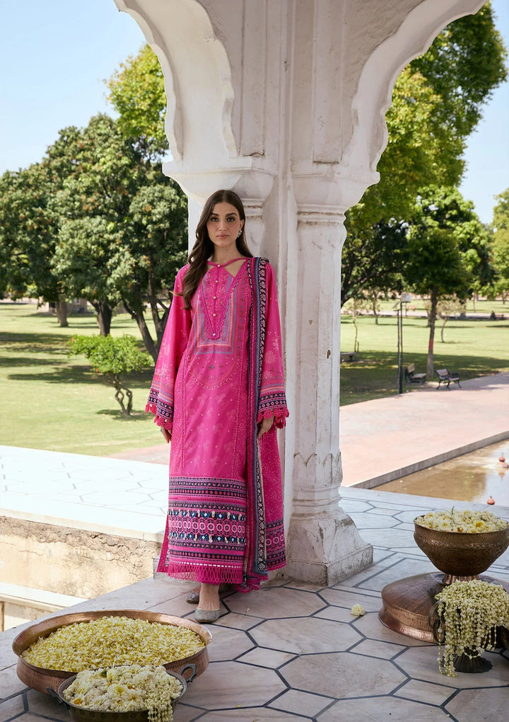 PRINTS CHIFFON COLLECTION &