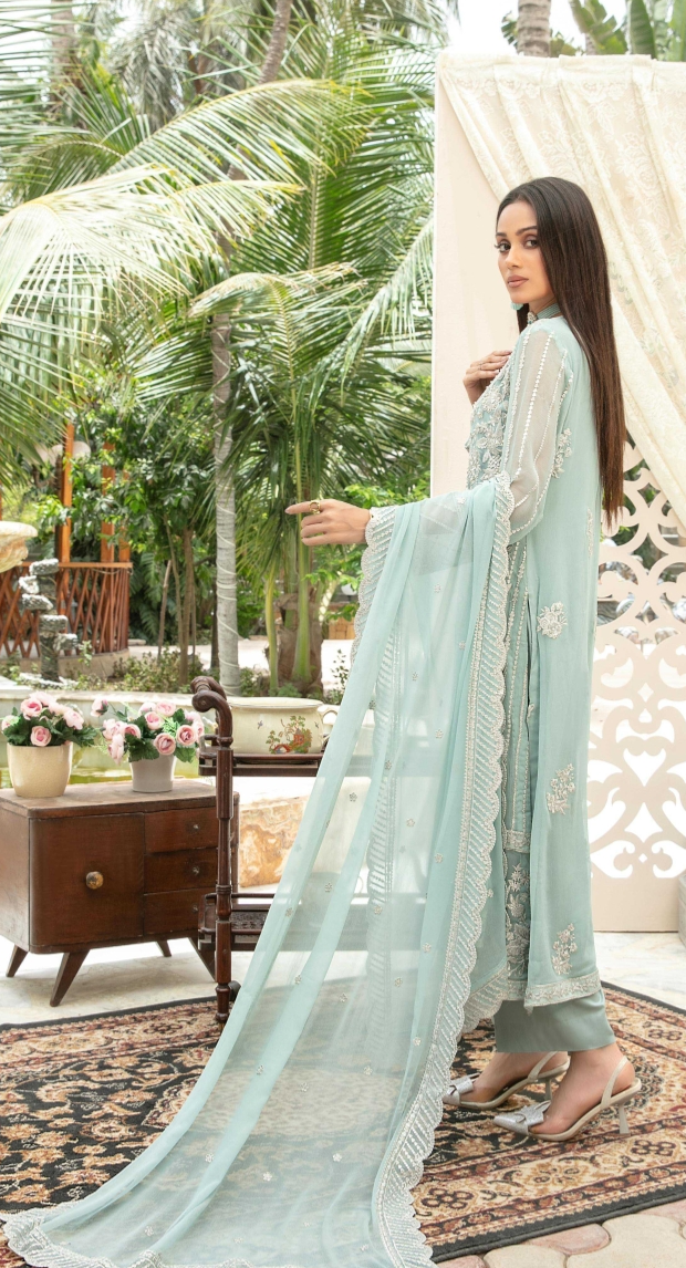Nuresa Embroidered Fancy Chiffon