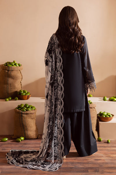 Koyal Lawn Collections