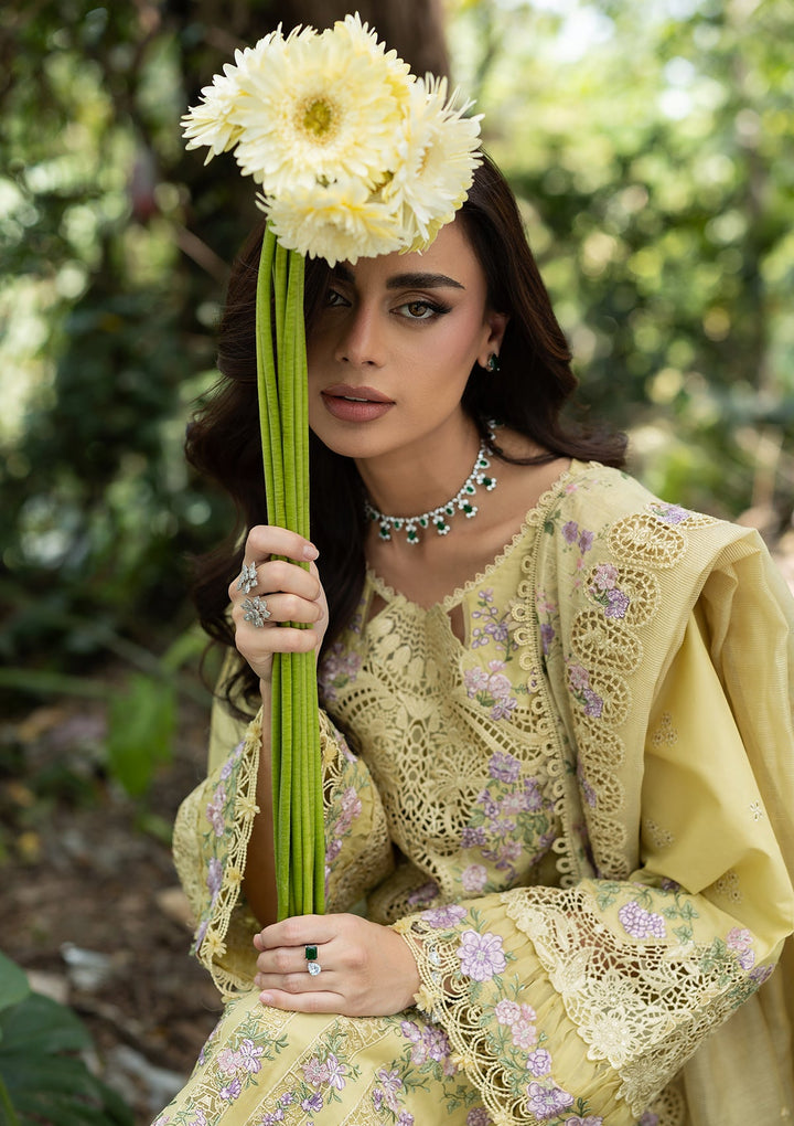 LUXURY LAWN VOL ll &