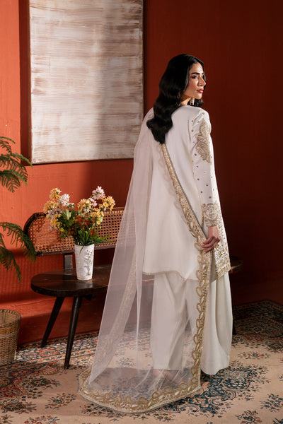 Raw Silk Embroidered Dress Pret