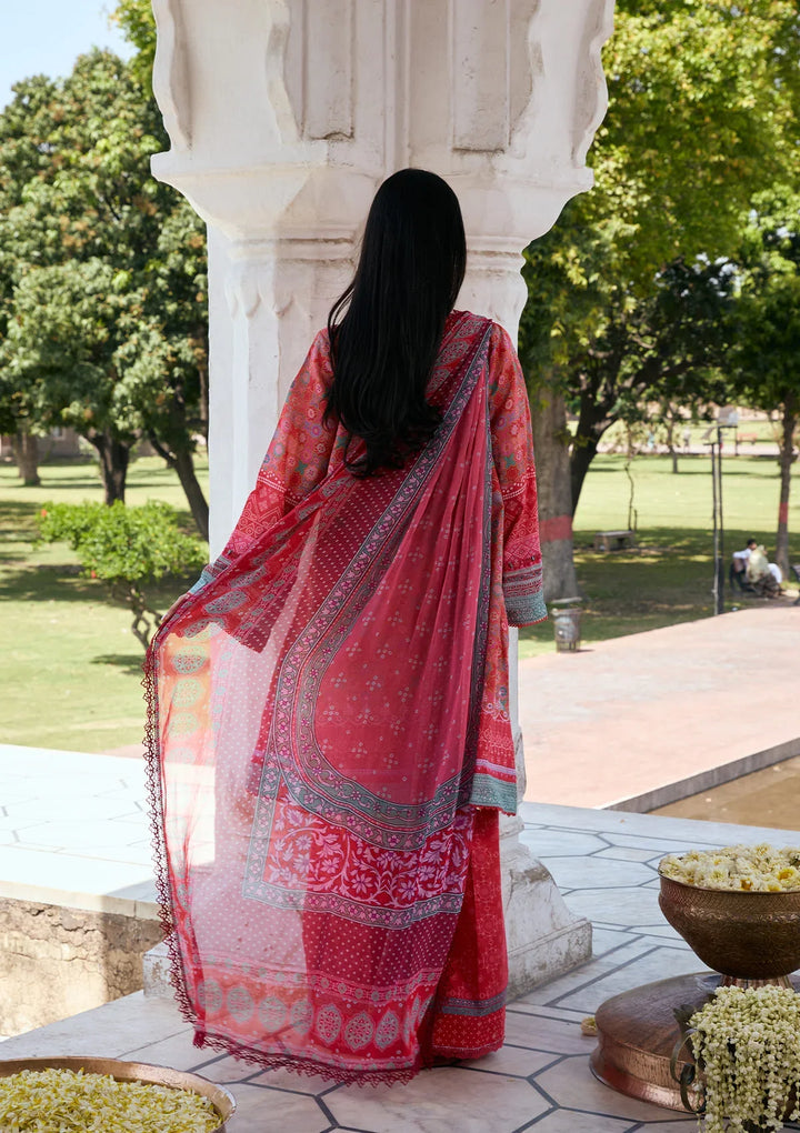 PRINTS CHIFFON COLLECTION &