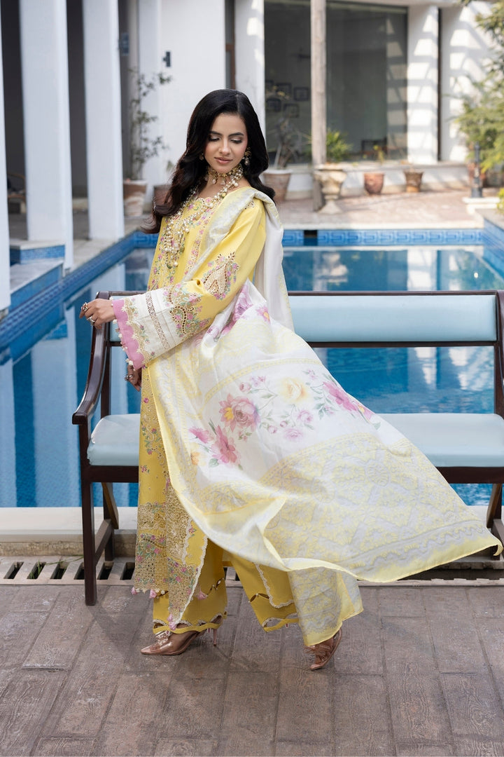 Dil Kash CHIKANKARI  LAWN