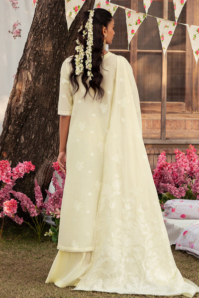 3 PIECE EMBROIDERED JACQUARD