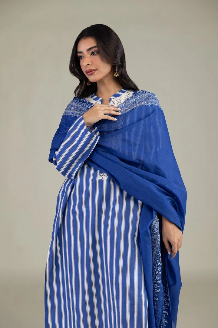 Embroidered | Cambric Fabrics 3 Piece