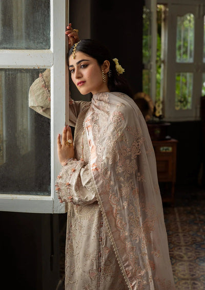 Karandi with Embroidered Chiffon