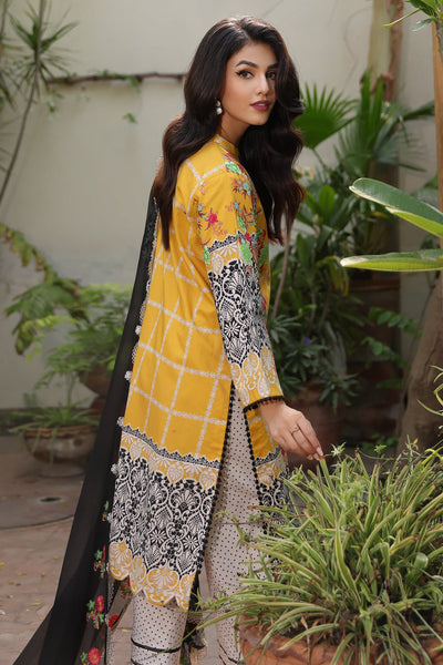 PRINT MELODY Lawn