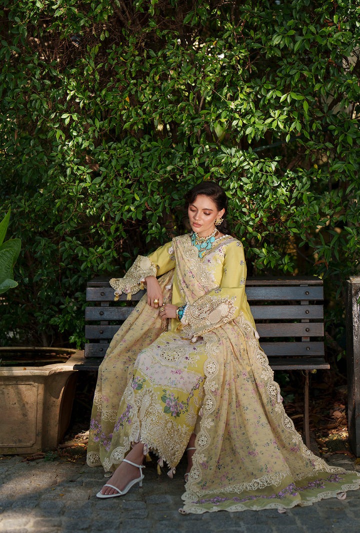 Evara Luxury Lawn