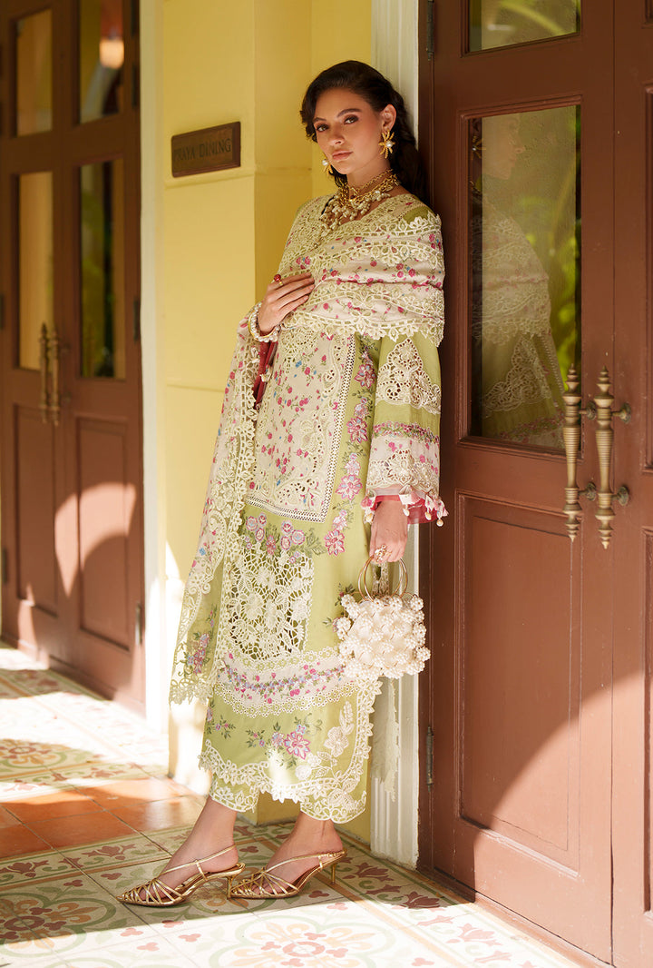 Evara Luxury Lawn