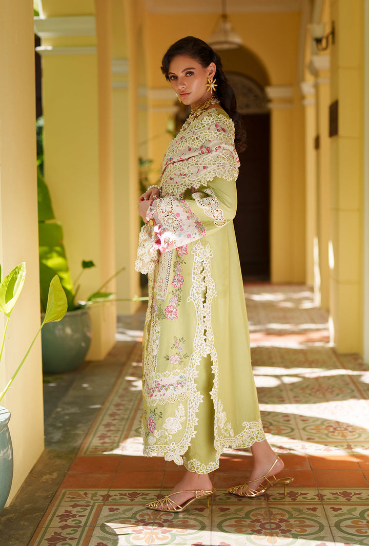Evara Luxury Lawn