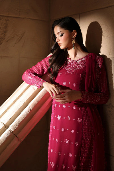 Luxe Embroidered Chiffon