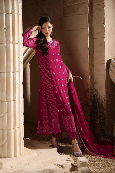 Luxe Embroidered Chiffon