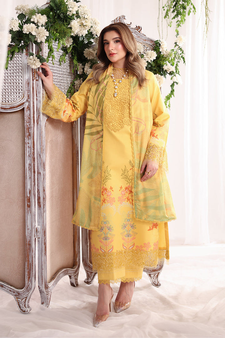 Nova Summer Embroidered Edit &