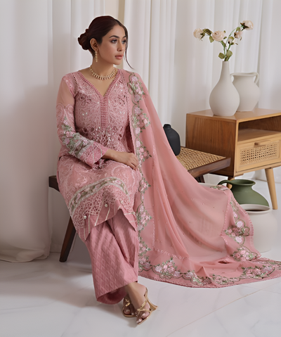 New Fancy Embroidered Collection