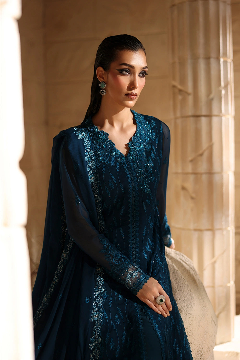 Luxe Embroidered Chiffon