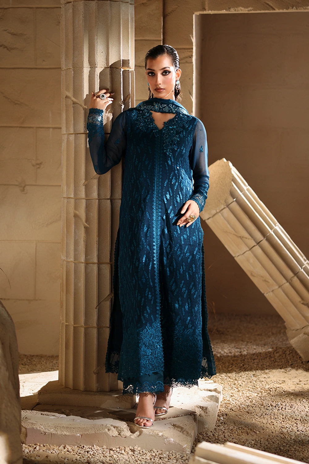 Luxe Embroidered Chiffon