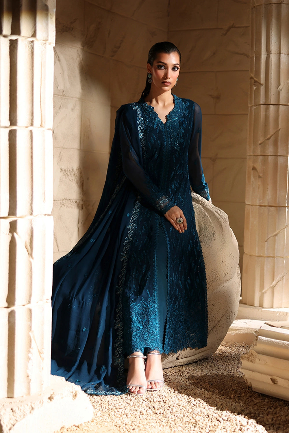 Luxe Embroidered Chiffon