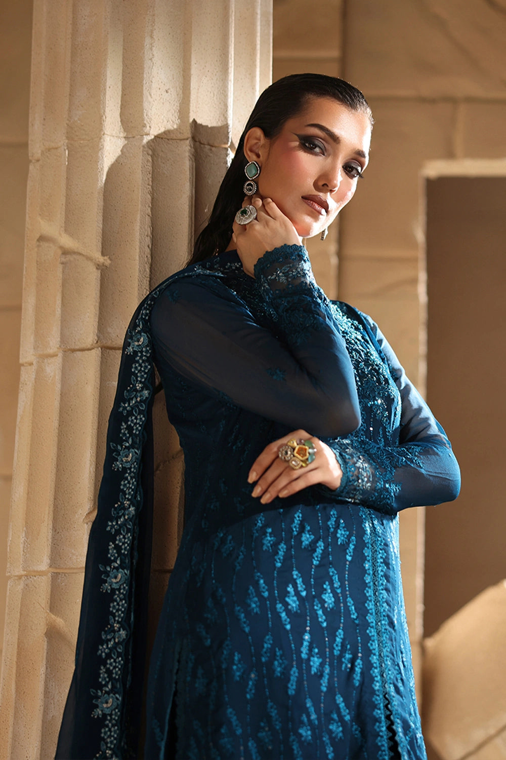 Luxe Embroidered Chiffon