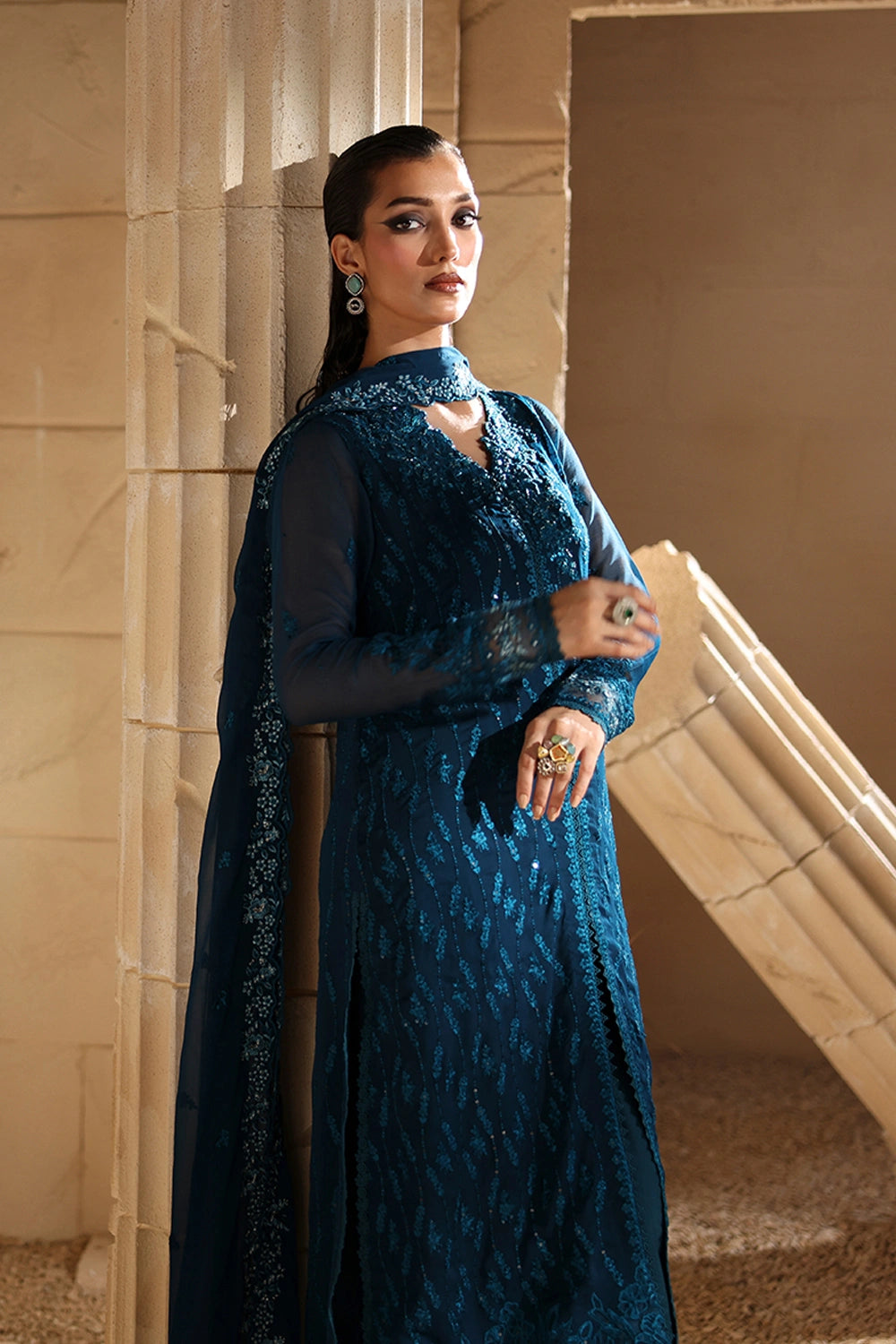 Luxe Embroidered Chiffon