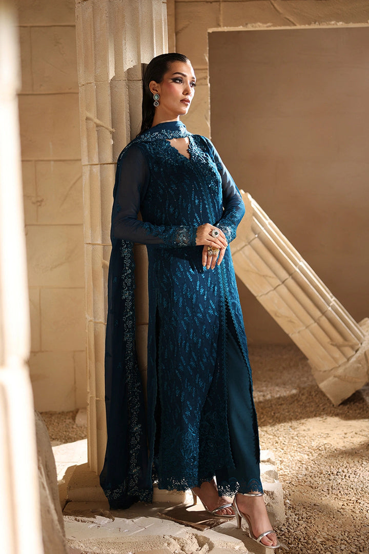 Luxe Embroidered Chiffon