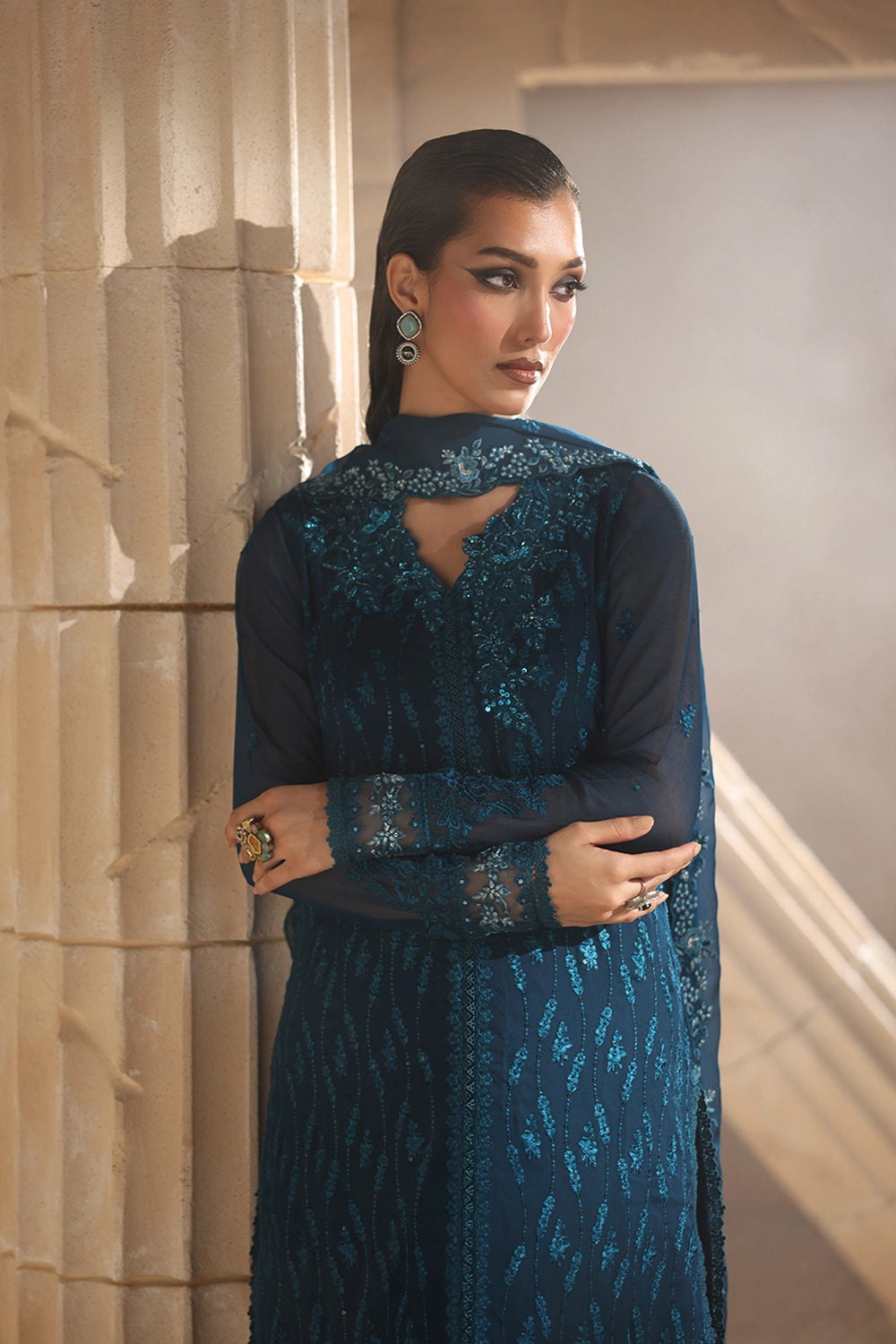 Luxe Embroidered Chiffon