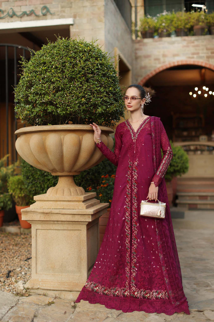 Luxury Schiffli Lawn Laserkar