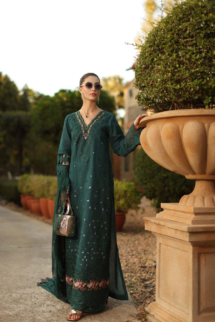 Luxury Schiffli Lawn Laserkar