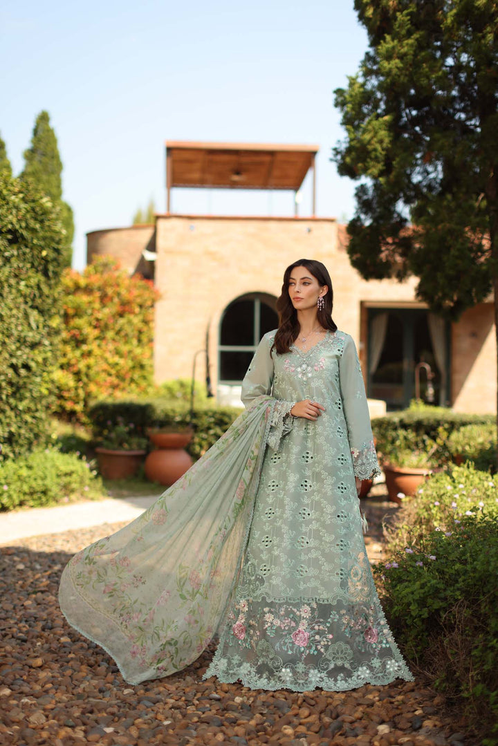 Luxury Schiffli Lawn Laserkar