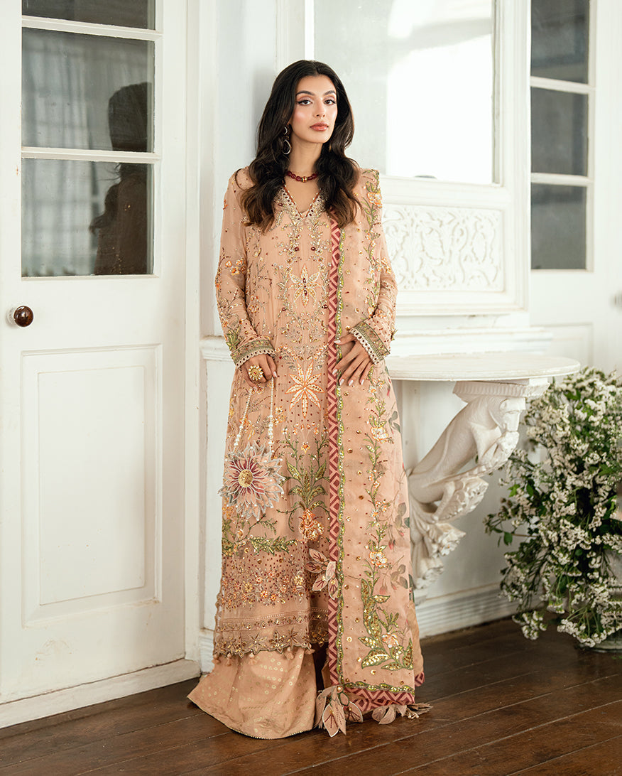 Sham Shandaar Festive Chiffon