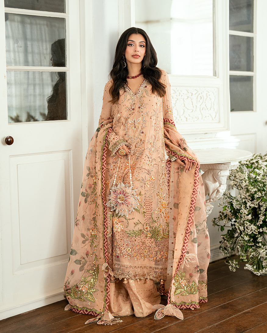 Sham Shandaar Festive Chiffon