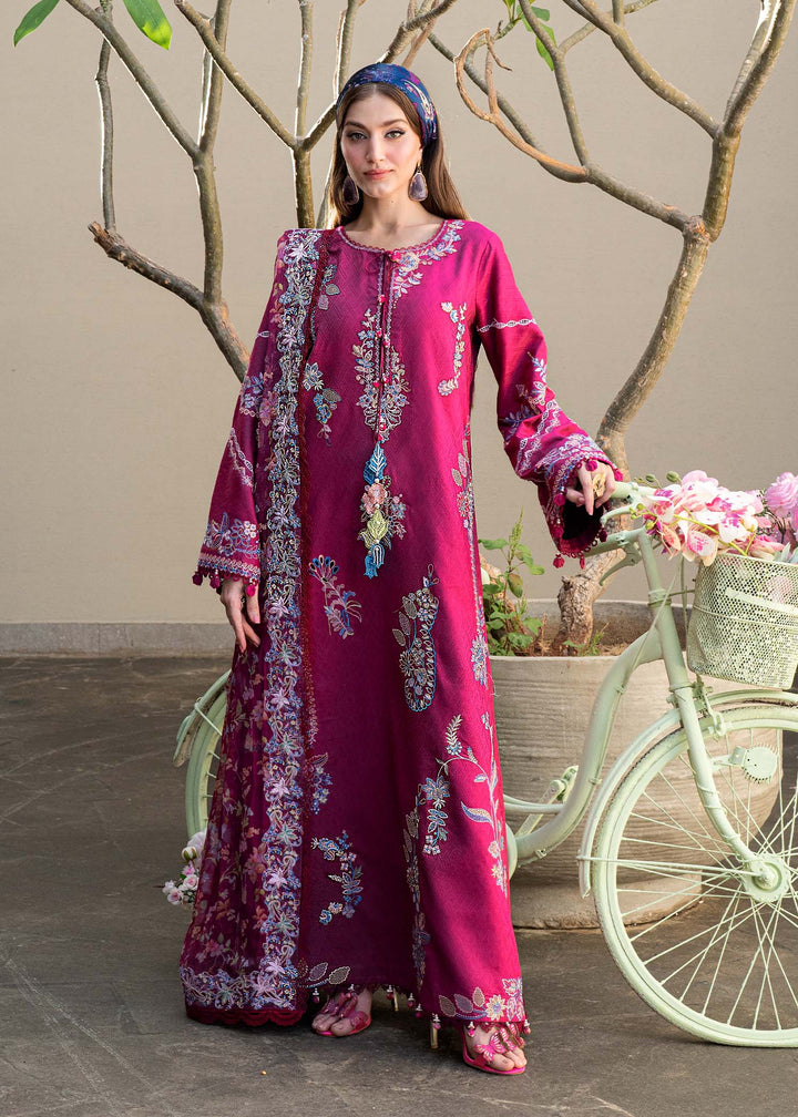 mira-summer-lawn-26