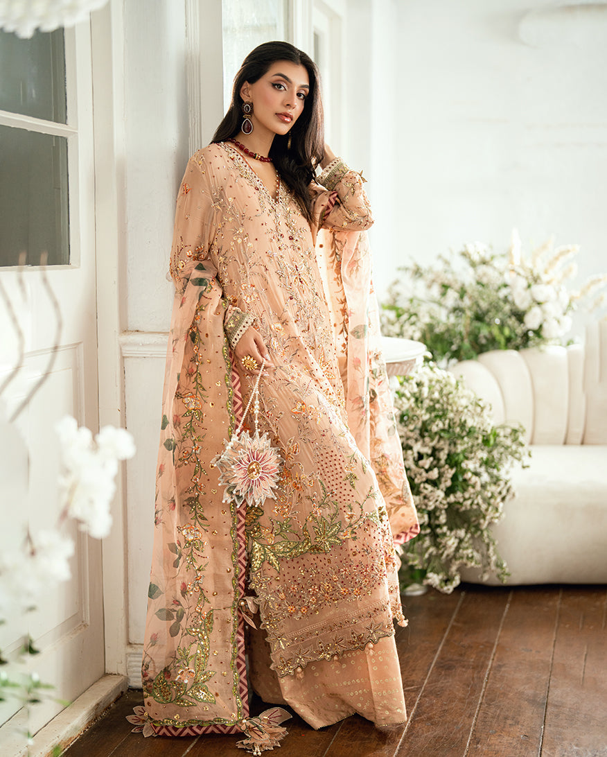 Sham Shandaar Festive Chiffon