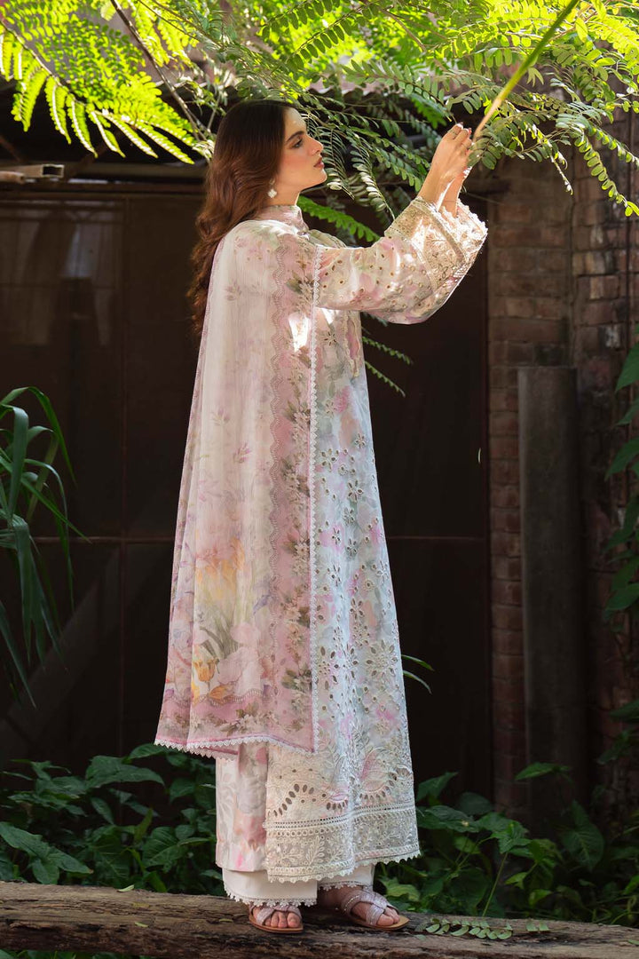 Printkari Lawn Collections