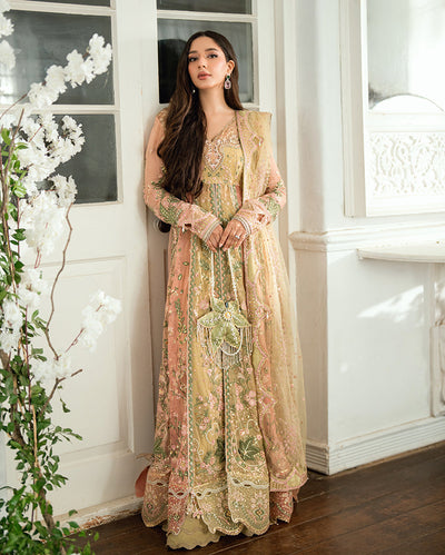 Sham Shandaar Festive Chiffon