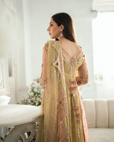 Sham Shandaar Festive Chiffon